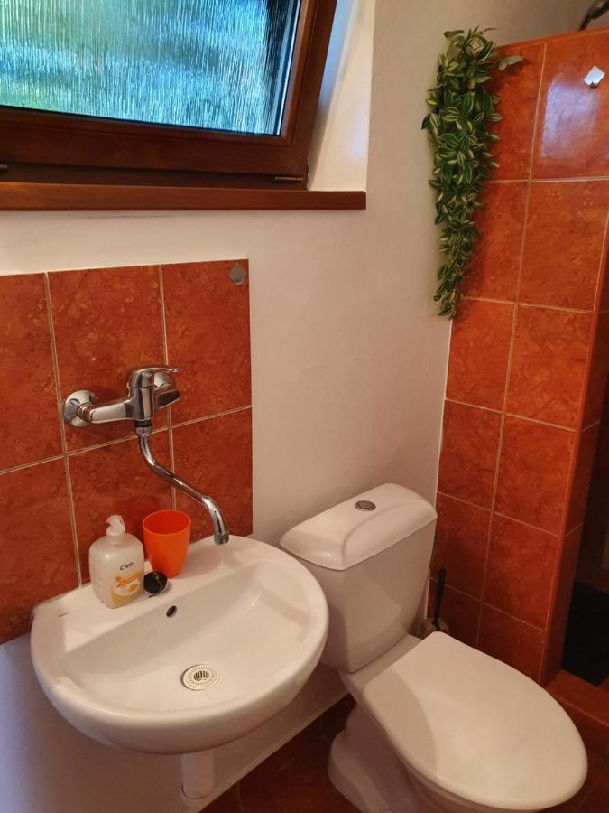 Privat U Jozefa Foeldesa Daire Veľký Meder Dış mekan fotoğraf