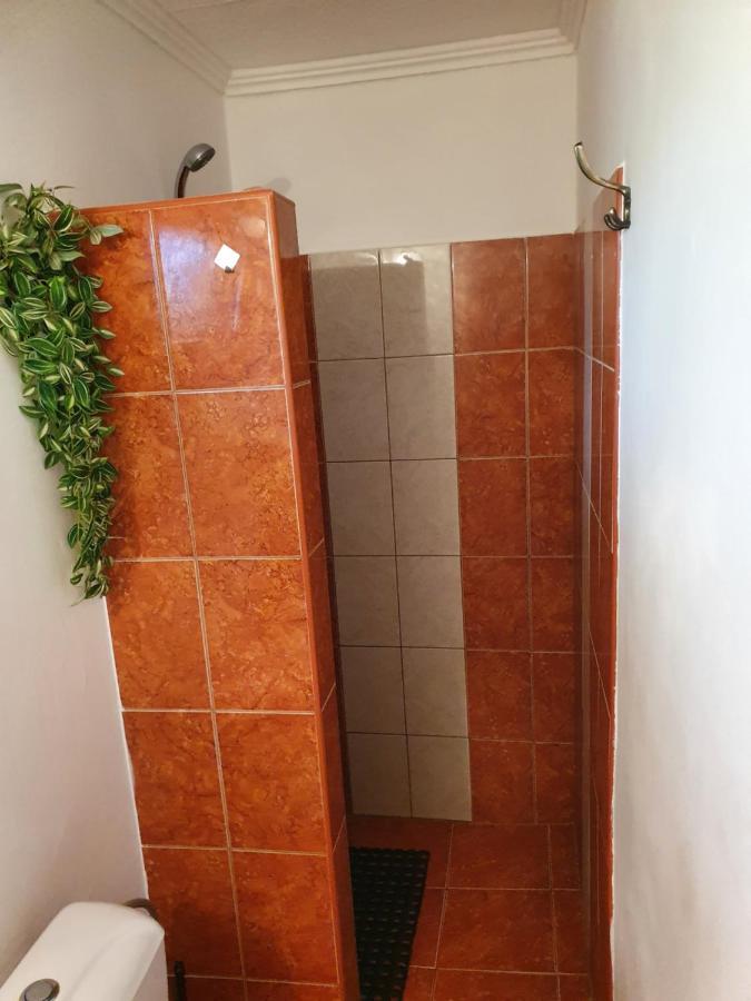 Privat U Jozefa Foeldesa Daire Veľký Meder Dış mekan fotoğraf