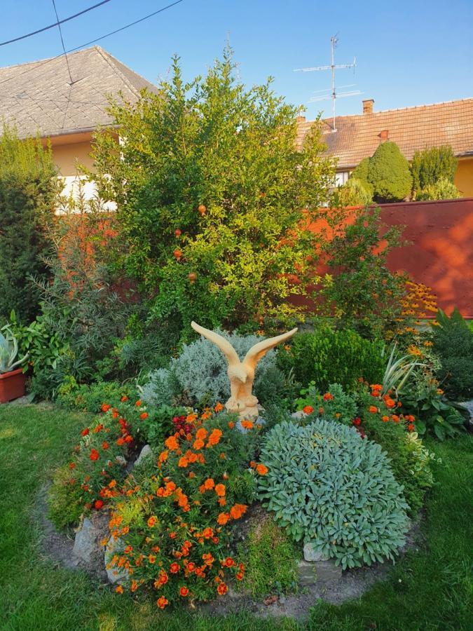 Privat U Jozefa Foeldesa Daire Veľký Meder Dış mekan fotoğraf